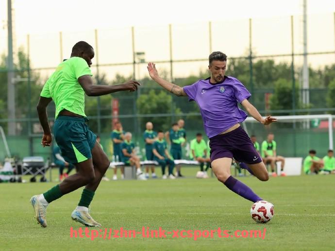 杏彩体育-2024年NBA常规赛技术犯规统计与判罚趋势变化解析