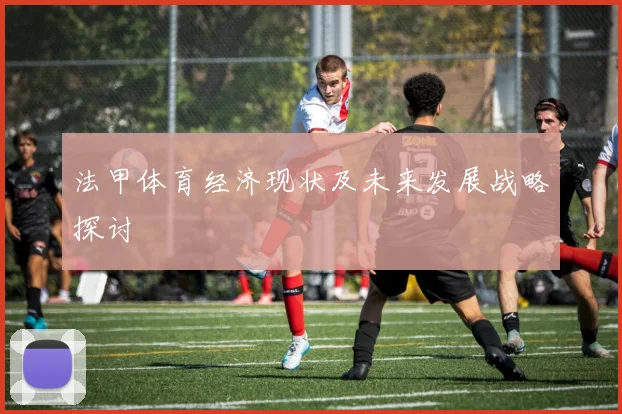 法甲体育经济现状及未来发展战略探讨
